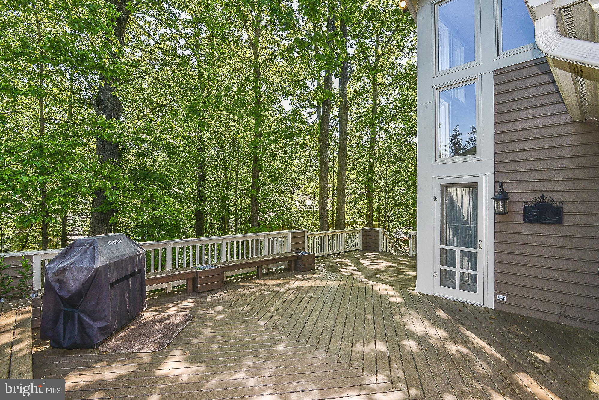 1309 Stamford Way Reston, VA 20194 - Photo 45 of 50 Up In The Tree Canopy