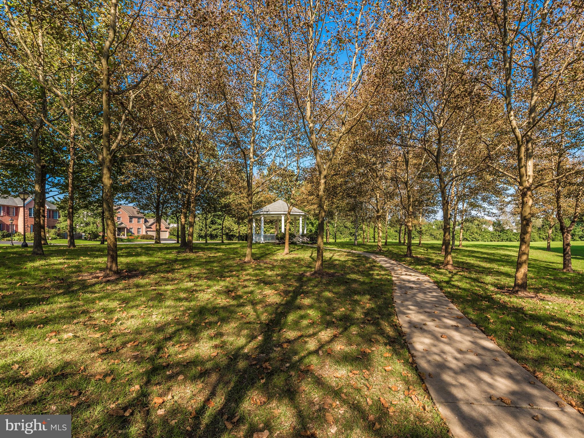 102 Mercer Court, Unit 22 1A Frederick, MD 21701 - Photo 49 of 56 a view of yard with trees