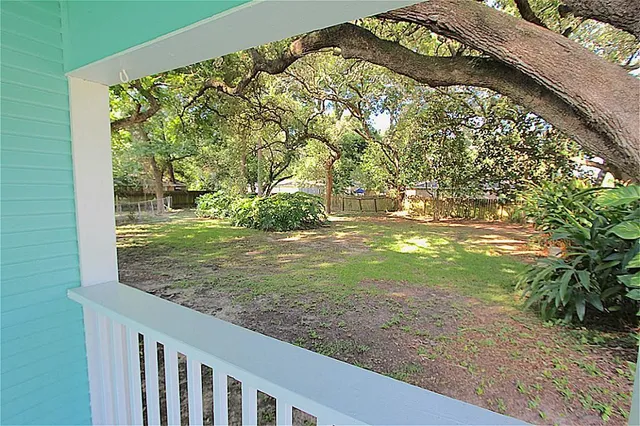 a view of a yard with flower plants