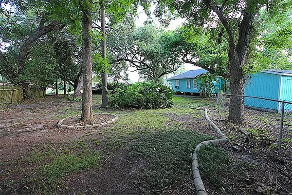 a view of a garden with a tree