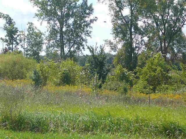 4235 Cahokia Ridge Linden, MI 48451 - Photo 2 of 8