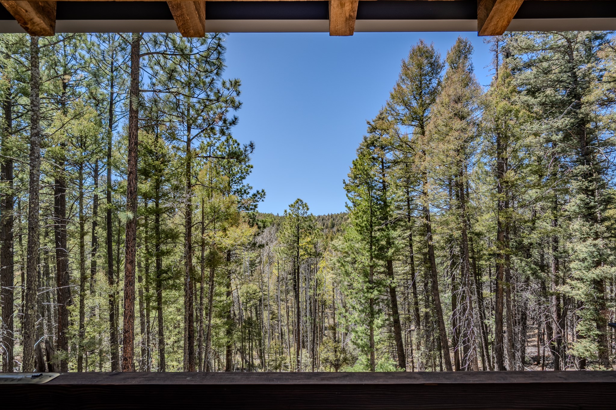 245 Sawyer Mesa Road Tererro, NM 87573 - Photo 7 of 31