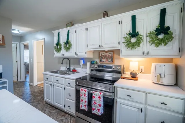 a kitchen with stainless steel appliances a stove a cabinets and a potted plant