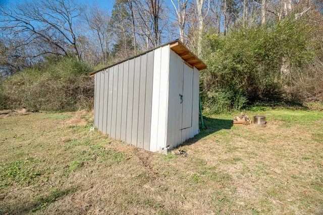 a view of backyard and tree
