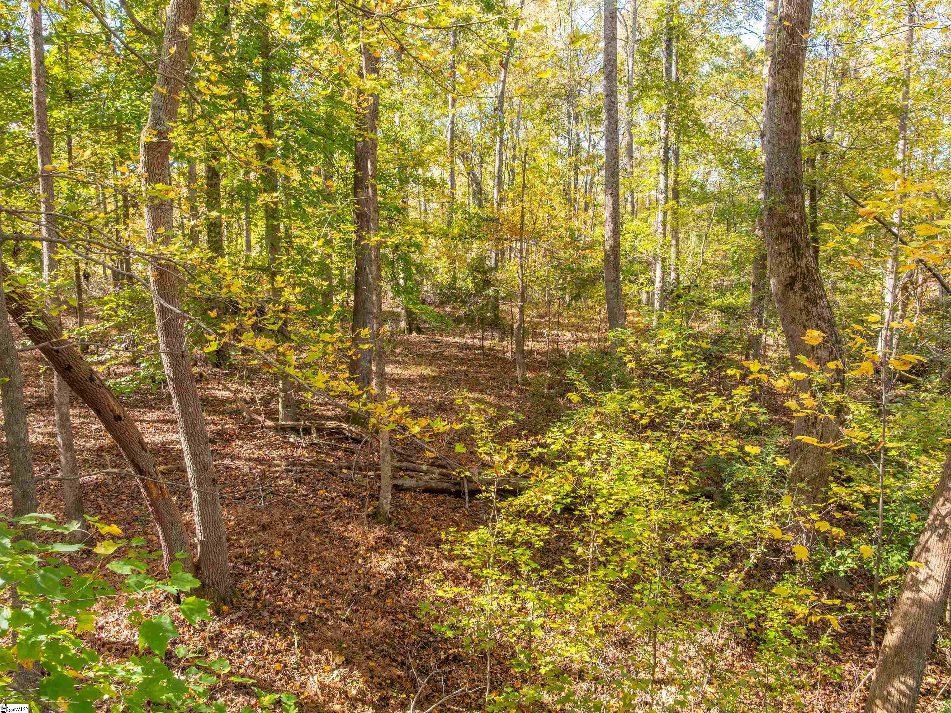13 Taylor Road, Unit LOT 13 Honea Path, SC 29654 - Photo 44 of 50 Gallery Image 44