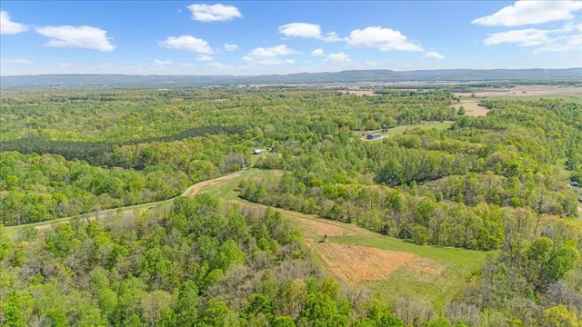 a view of an ocean from a yard
