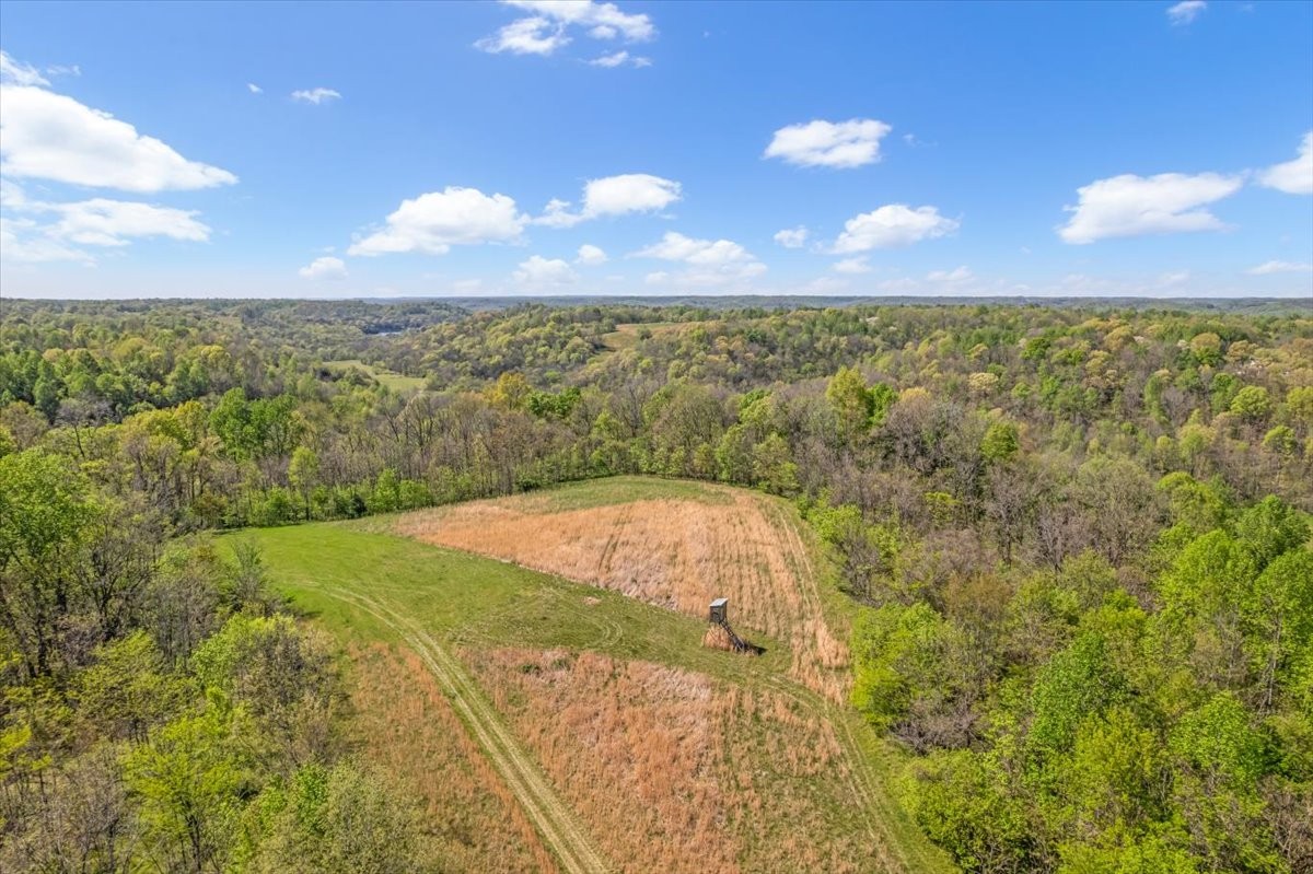 0 Quail Run Lane Flintville, TN 37335 - Photo 15 of 16 a view of a yard with an outdoor space