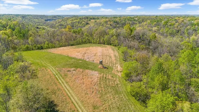a view of an outdoor space and a yard