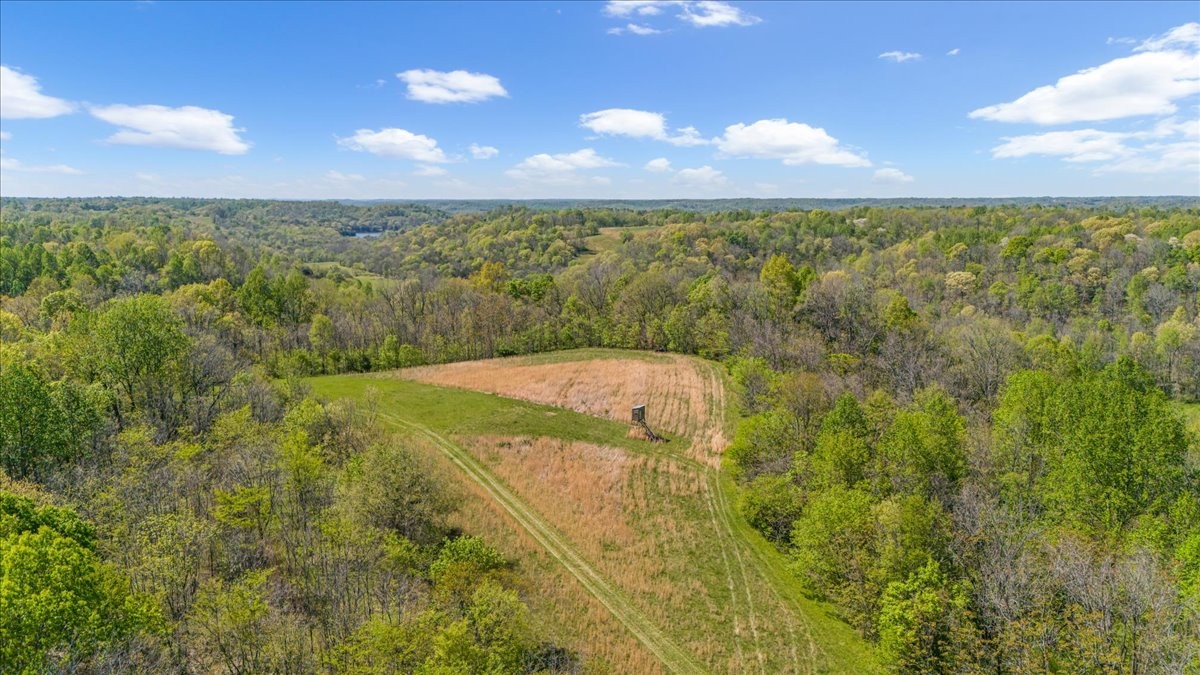 0 Quail Run Lane Flintville, TN 37335 - Photo 8 of 16 a view of an outdoor space and a yard