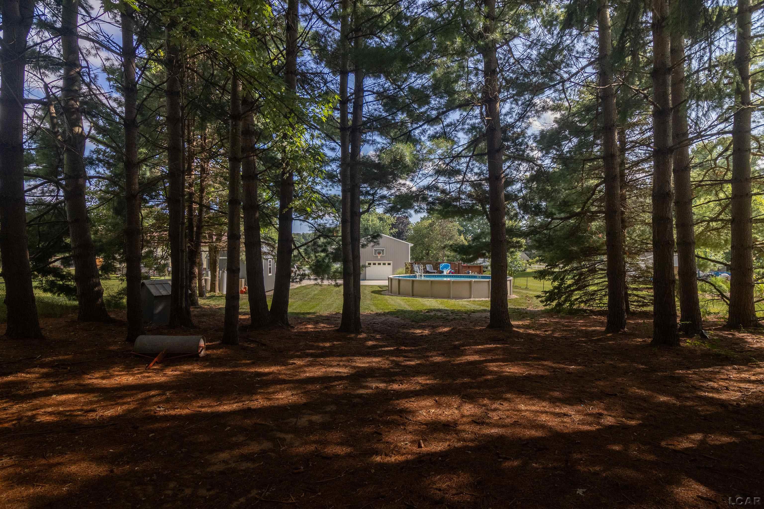 2816 Sharp Road Adrian, MI 49221 - Photo 50 of 58