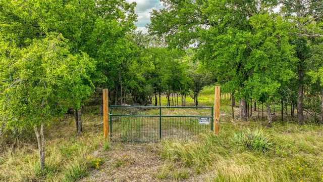 a view of a park with large trees