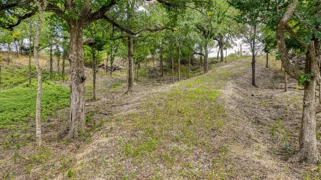 a view of a garden with trees