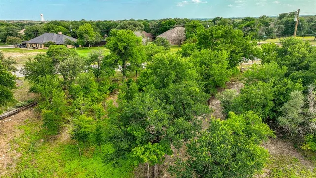 a view of a lush green forest with houses