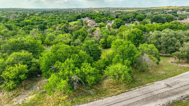 a view of a garden with a plant
