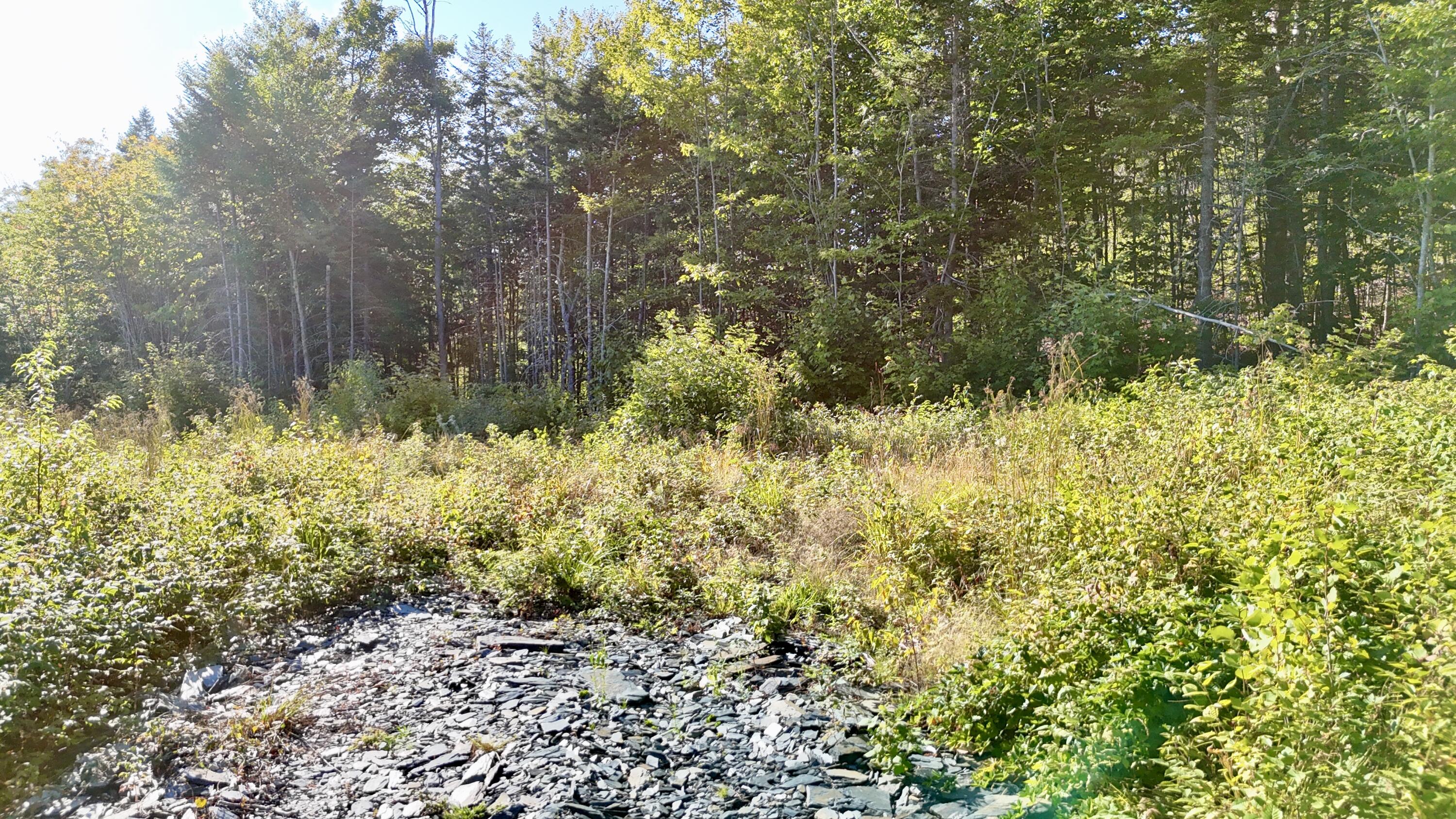Lot 11 West Ridge Drive Greenville, ME 04441 - Photo 3 of 9 DJI_20250831164821_0149_D