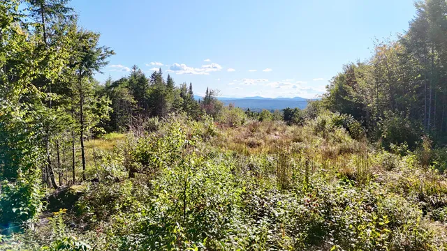 $89,000 | Lot 11 West Ridge Drive, Greenville, ME 04441