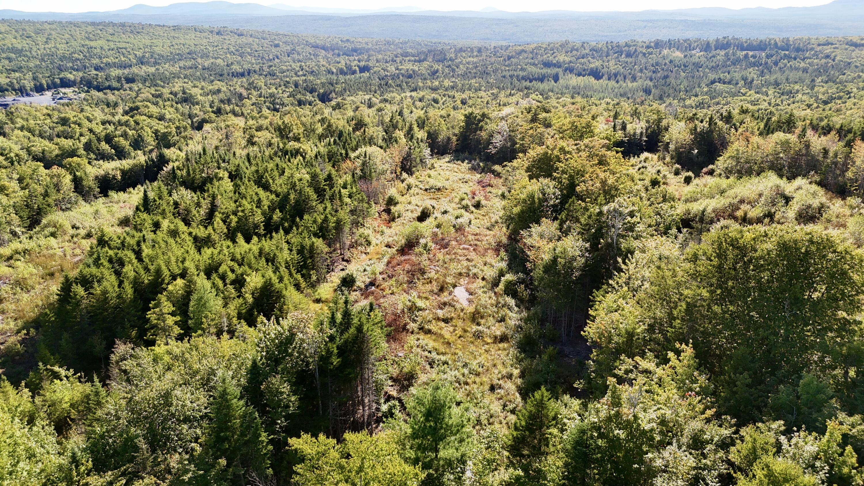 Lot 11 West Ridge Drive Greenville, ME 04441 - Photo 7 of 9 DJI_20250831164855_0153_D