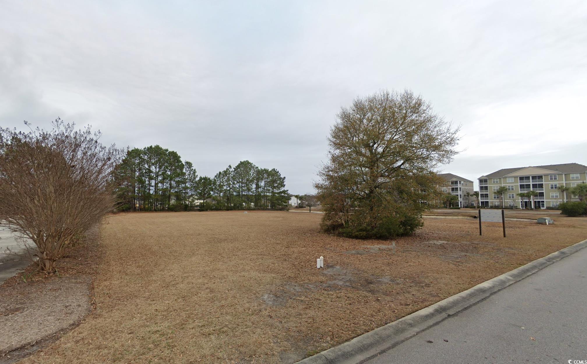 3004 Newcastle Loop Myrtle Beach, SC 29588 - Photo 3 of 6 View of yard
