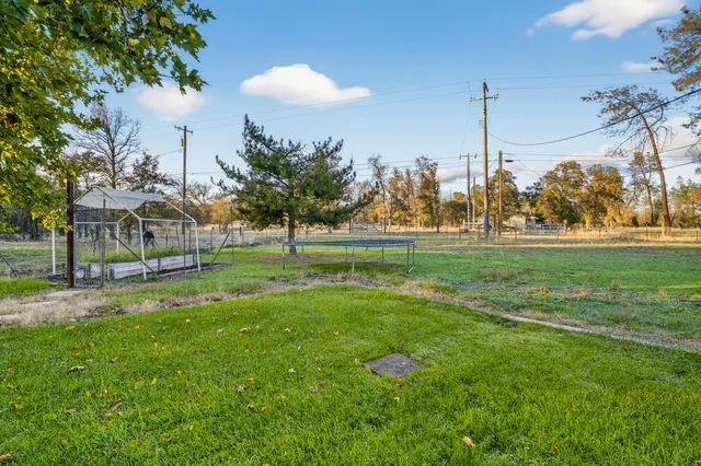 a view of a park with a tree