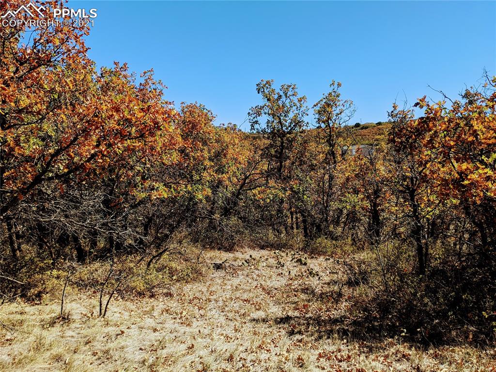 Lot 151 Becker Road Rye, CO 81019 - Photo 14 of 18
