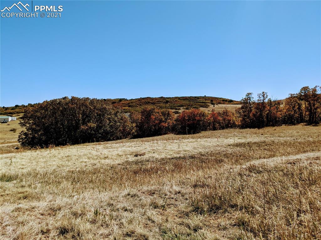 Lot 151 Becker Road Rye, CO 81019 - Photo 5 of 18