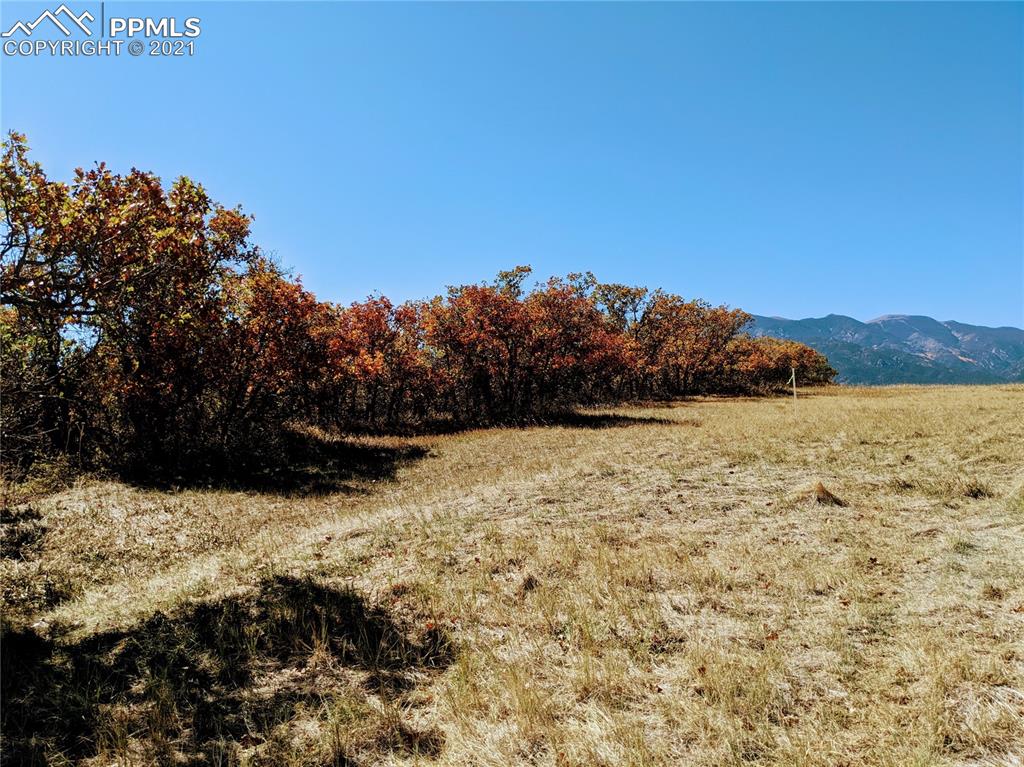 Lot 151 Becker Road Rye, CO 81019 - Photo 8 of 18