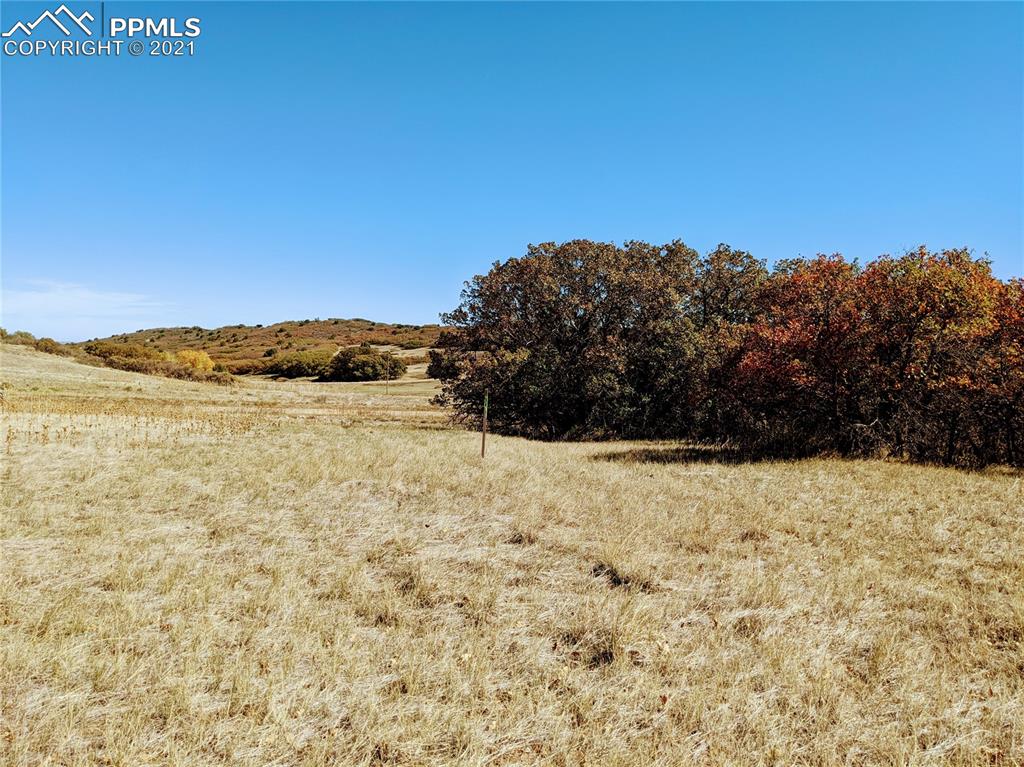 Lot 151 Becker Road Rye, CO 81019 - Photo 9 of 18