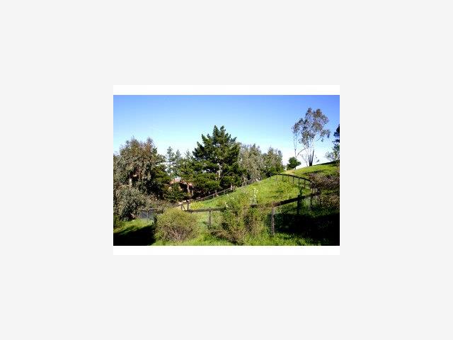 22330 Regnart Road Cupertino, CA 95014 - Photo 7 of 9 a picture of a painting of a room