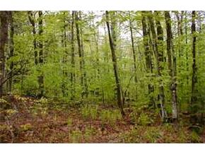 On Extension Of Smedley Road Royalton, VT 05068 - Photo 2 of 2 Gallery Image 2