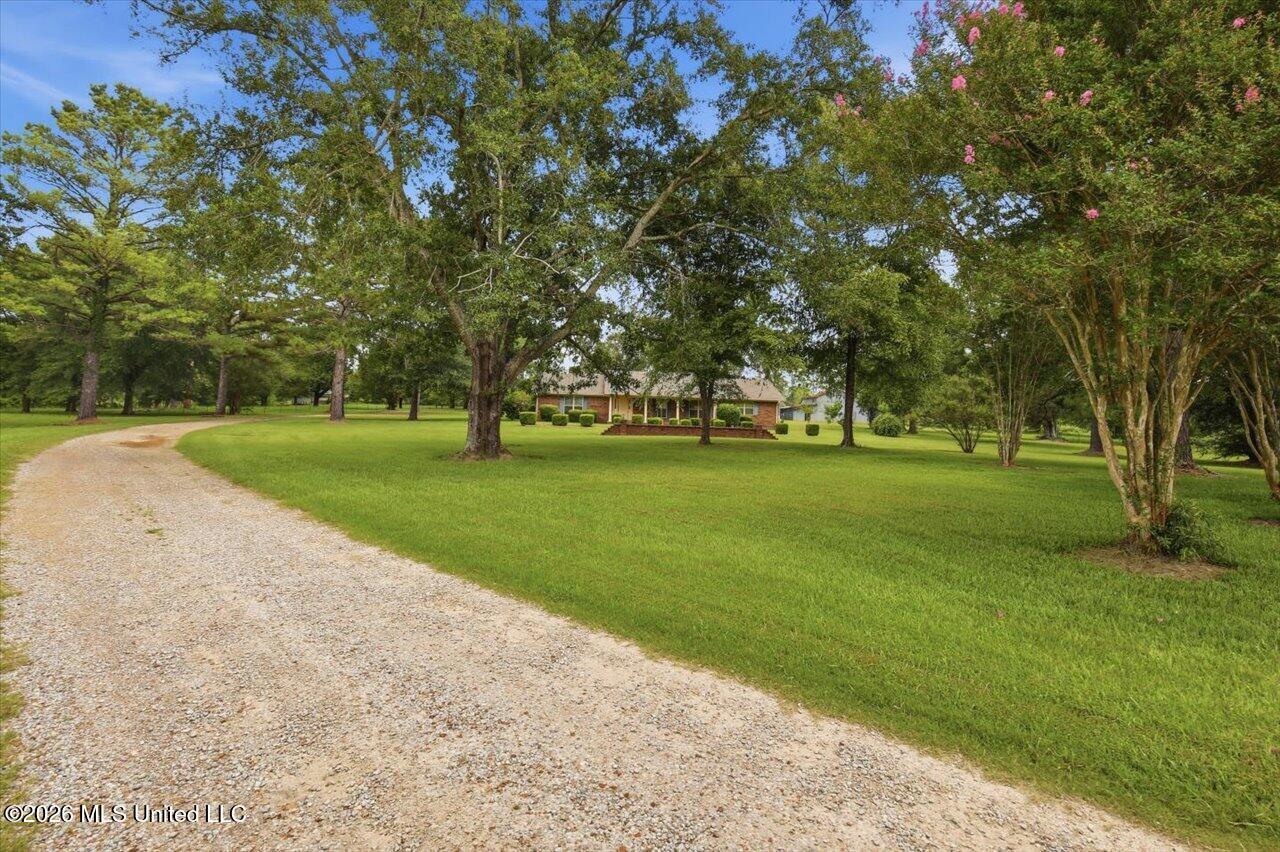 198 Morgan Road Canton, MS 39046 - Photo 10 of 58 10-198 Morgan Rd _ Hometoursms.com
