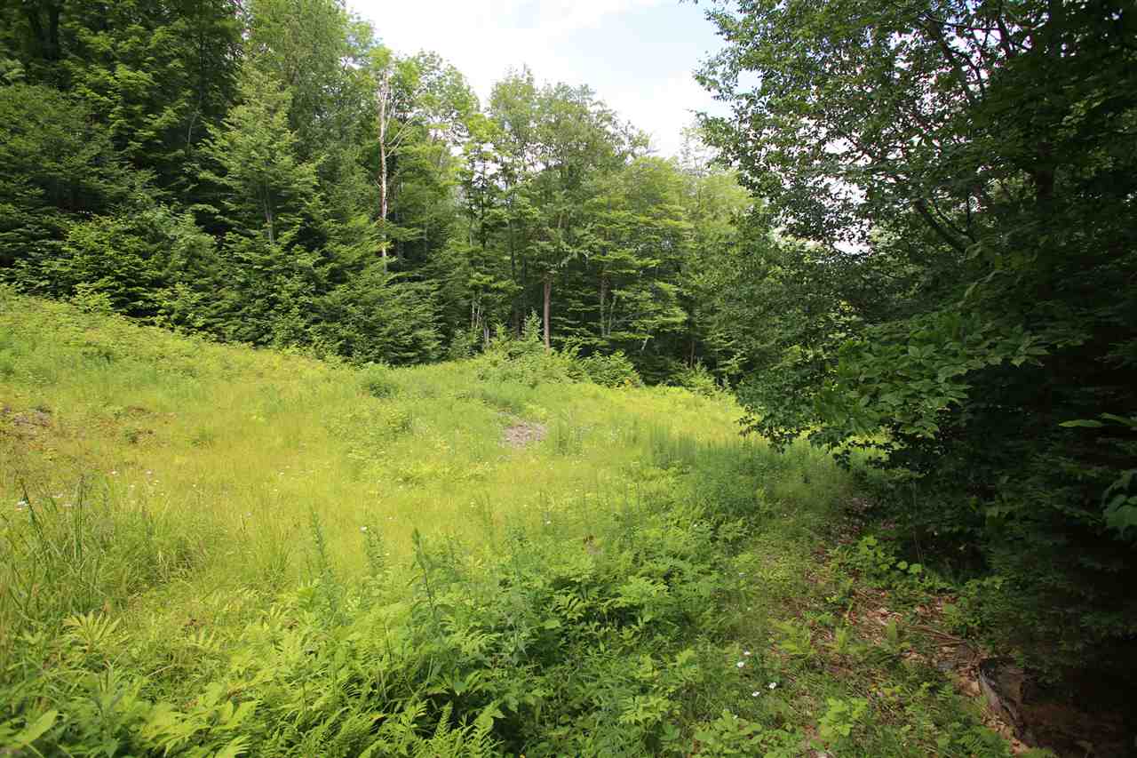 620 Westcott Road, Unit 3 Duxbury, VT 05676 - Photo 18 of 19 Gallery Image 18