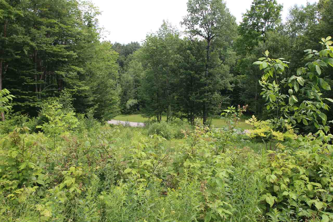 620 Westcott Road, Unit 3 Duxbury, VT 05676 - Photo 6 of 19 Gallery Image 6