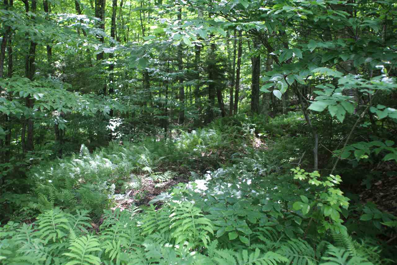 620 Westcott Road, Unit 3 Duxbury, VT 05676 - Photo 9 of 19 Gallery Image 9
