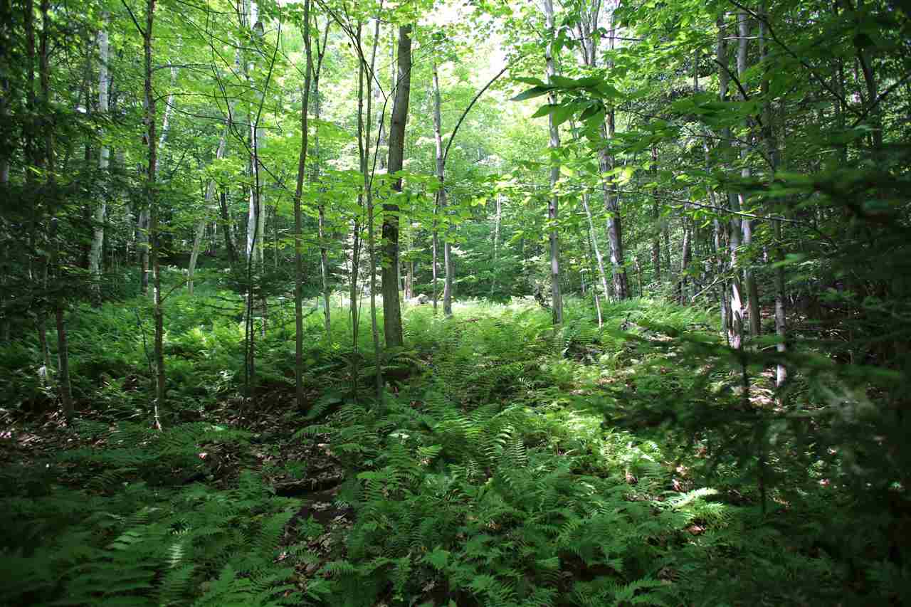 620 Westcott Road, Unit 3 Duxbury, VT 05676 - Photo 10 of 19 Gallery Image 10
