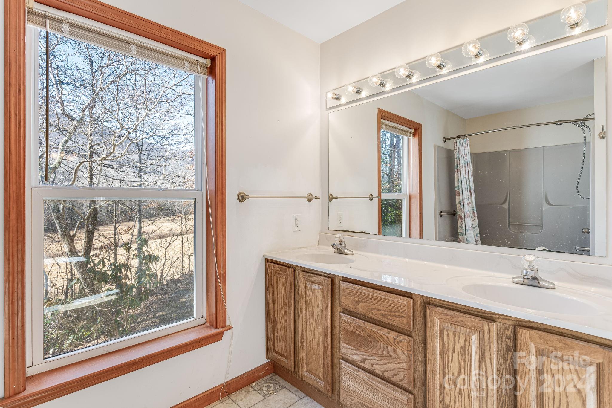 10 Bailey Ridge Road Black Mountain, NC 28711 - Photo 27 of 44 a bathroom with a double vanity sink and a large mirror