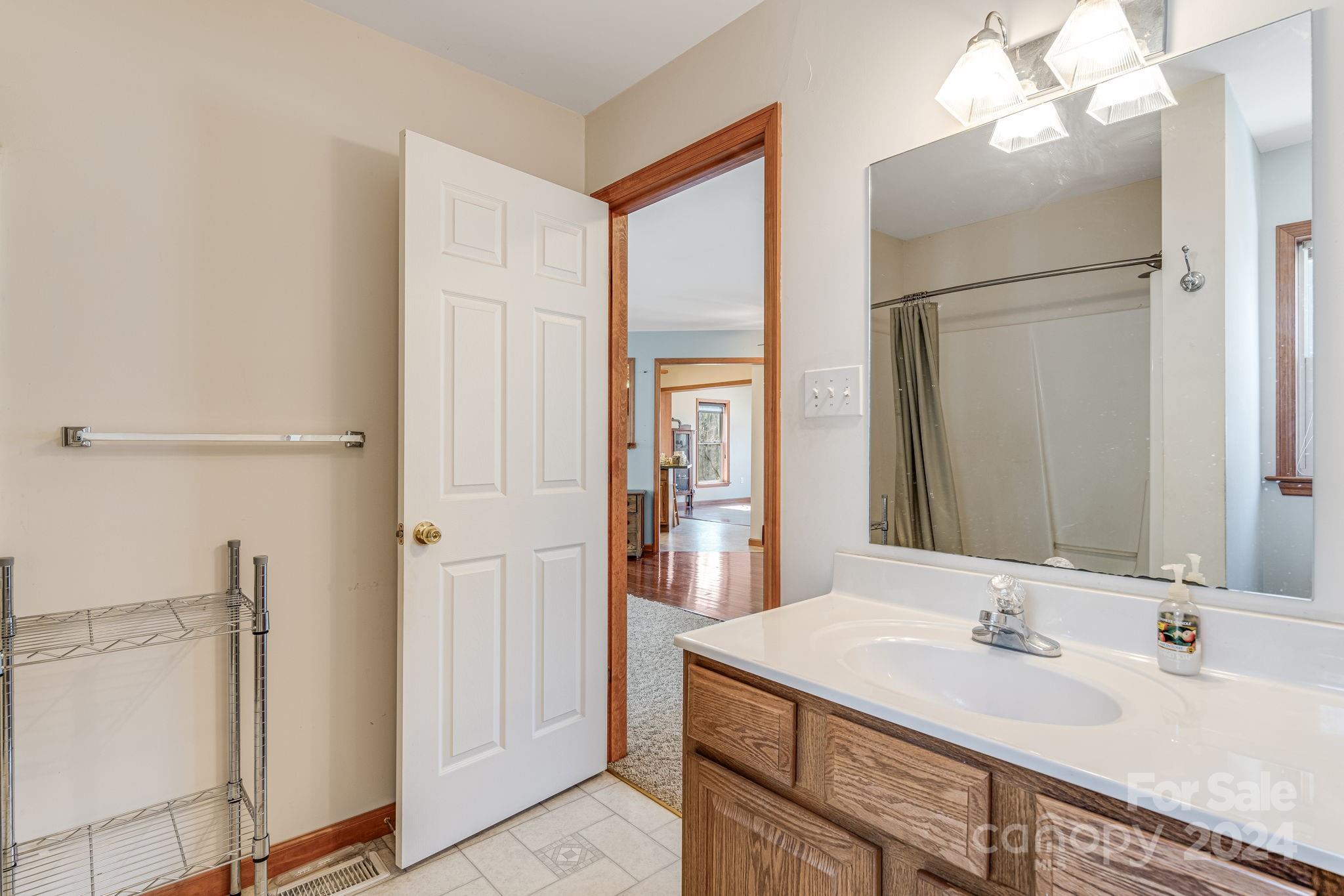 10 Bailey Ridge Road Black Mountain, NC 28711 - Photo 32 of 44 a bathroom with a sink and a mirror