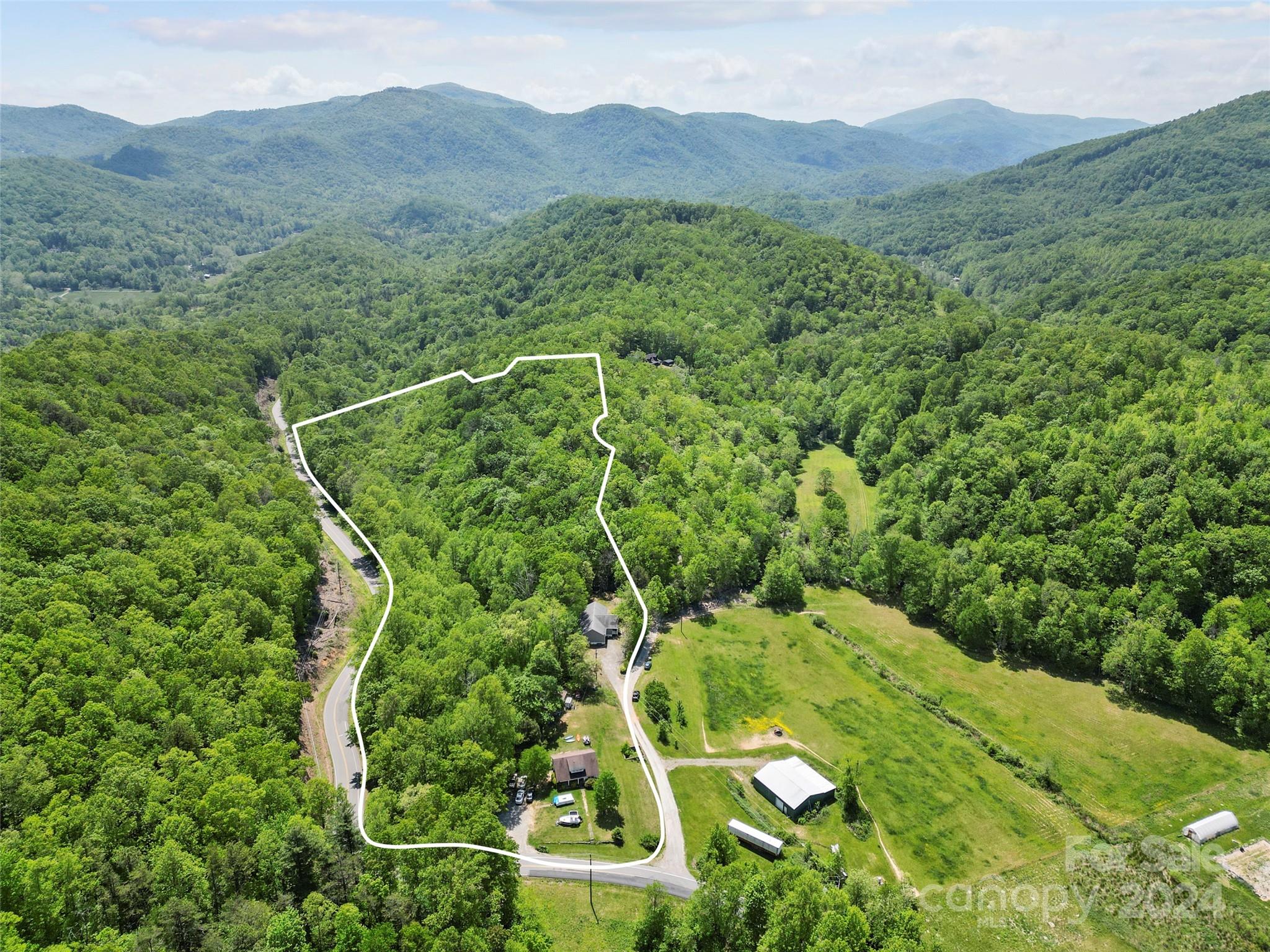 10 Bailey Ridge Road Black Mountain, NC 28711 - Photo 5 of 44 a view of a lush green forest with mountains in the background