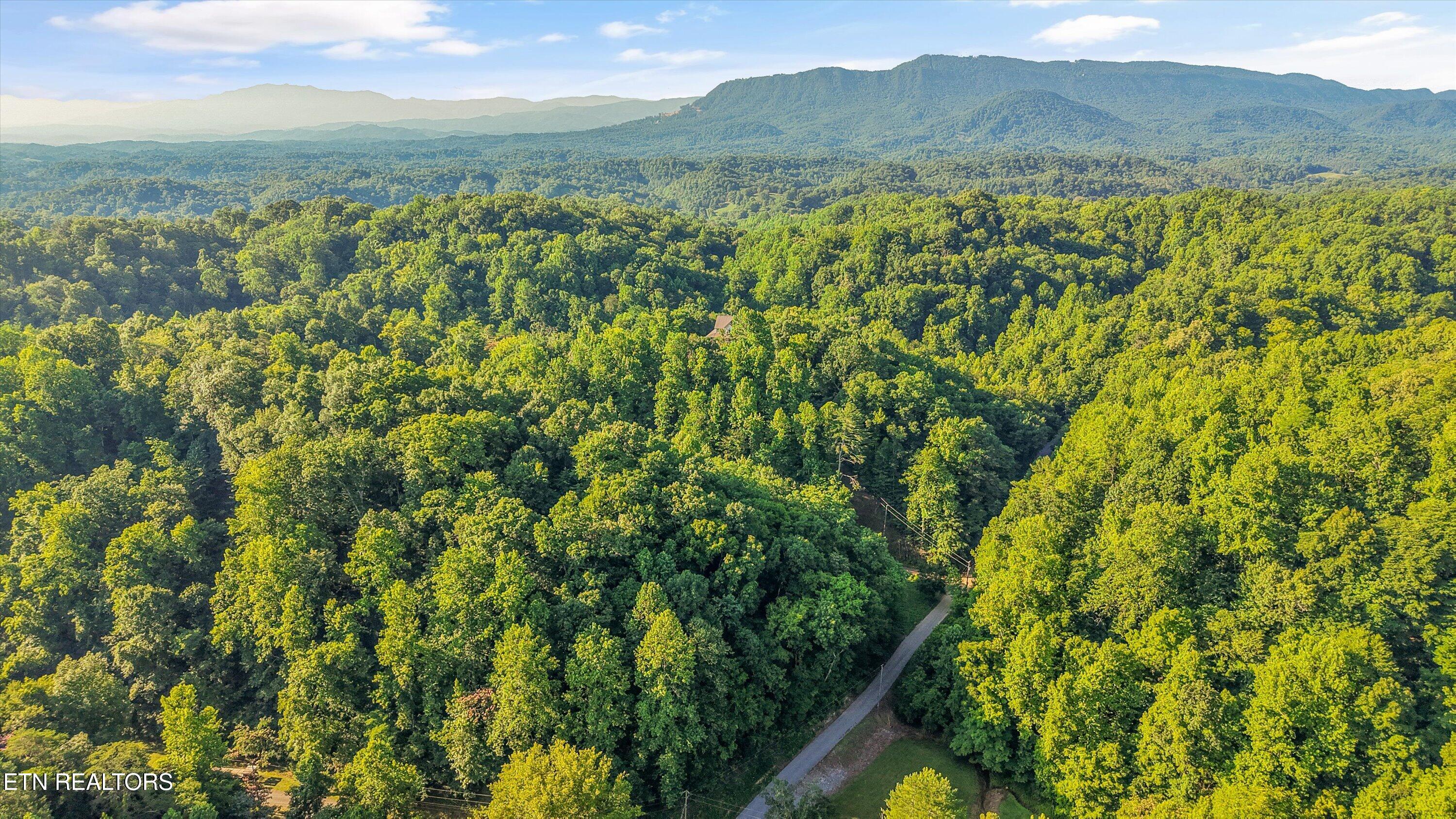 1717 Long Branch Road Seymour, TN 37865 - Photo 6 of 10 01-1717 Long Branch Rd02