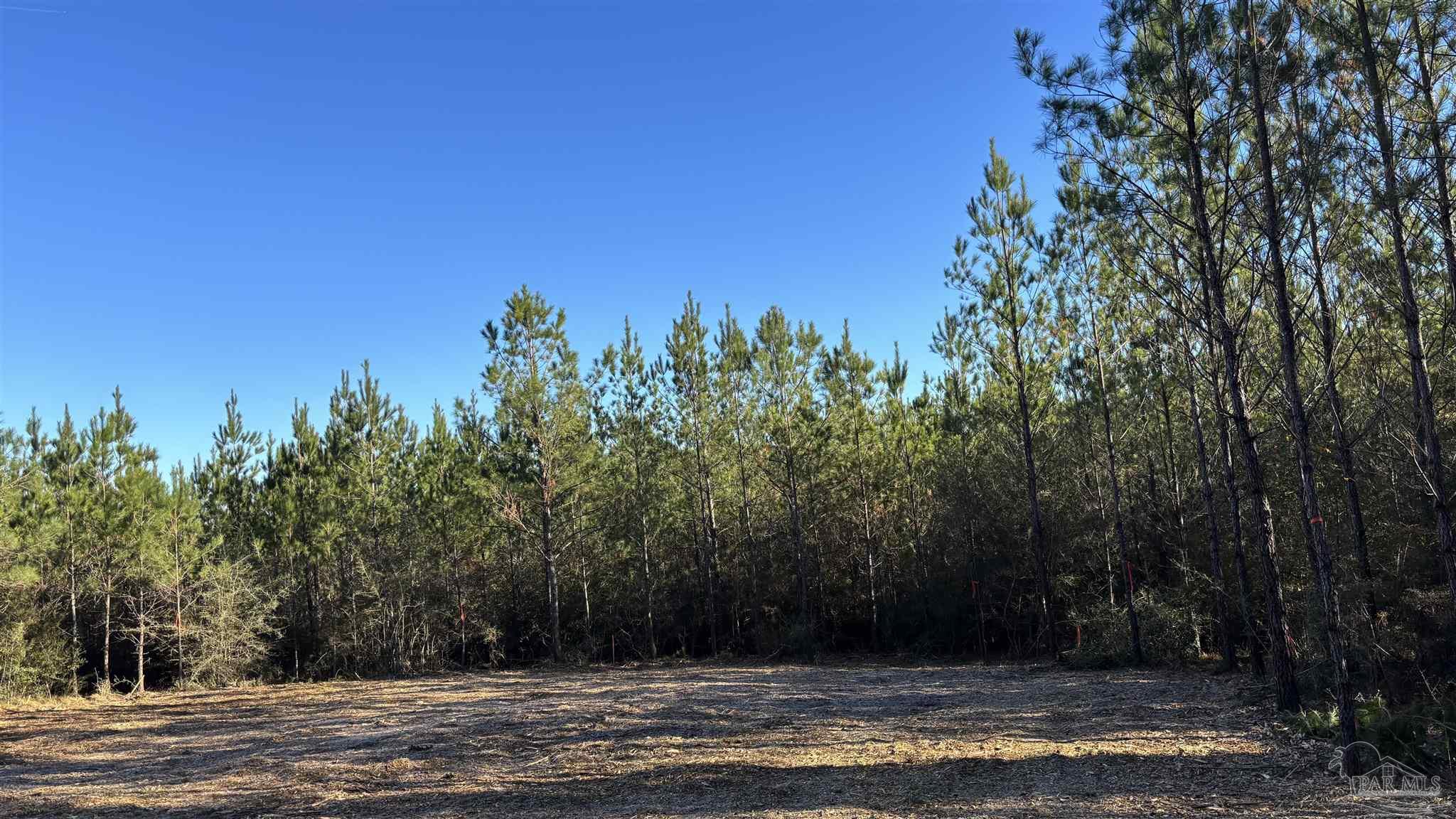 Lot 58 Straw Bridge Road Jay, FL 32565 - Photo 2 of 6