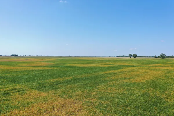 $884,000 | 8 St Brandrup Twp Mn 56522, Campbell, MN 56522
