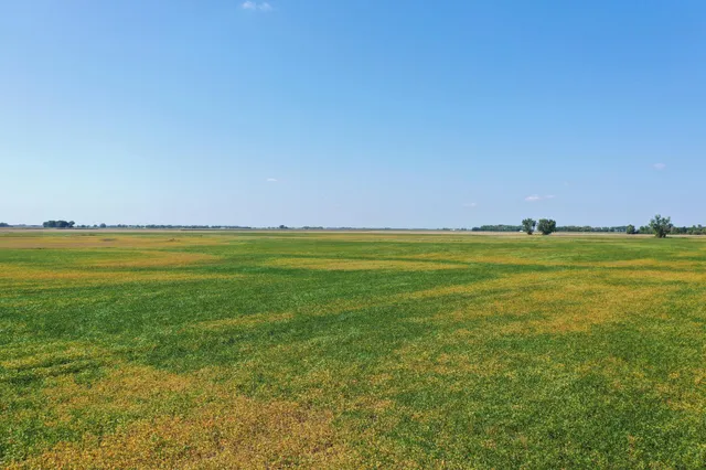 $884,000 | 8 St Brandrup Twp Mn 56522, Campbell, MN 56522