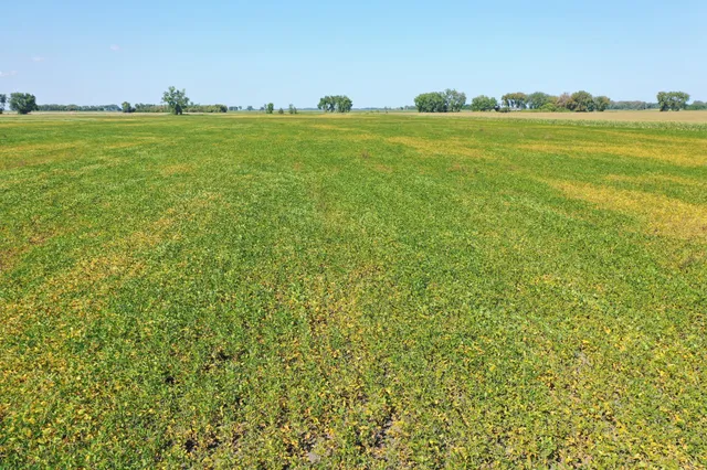 $884,000 | 8 St Brandrup Twp Mn 56522, Campbell, MN 56522