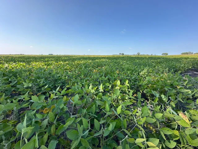 $884,000 | 8 St Brandrup Twp Mn 56522, Campbell, MN 56522