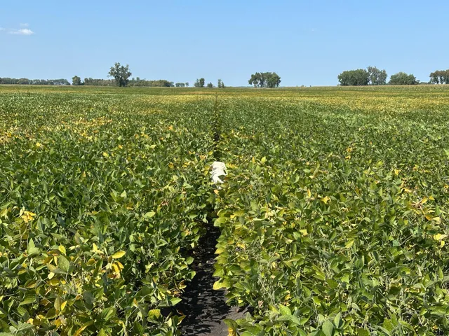 $884,000 | 8 St Brandrup Twp Mn 56522, Campbell, MN 56522