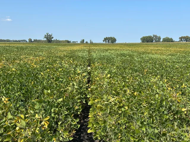 $884,000 | 8 St Brandrup Twp Mn 56522, Campbell, MN 56522