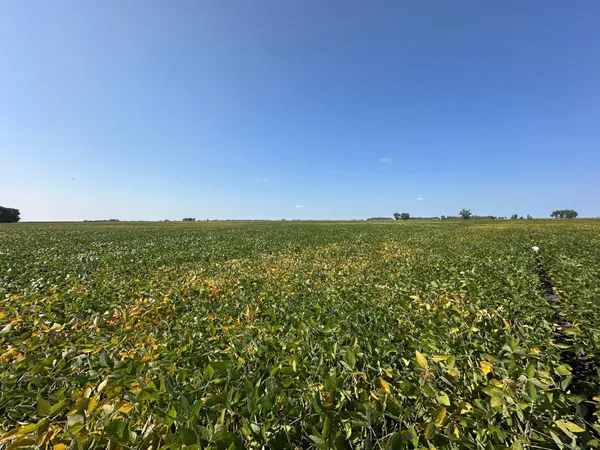 $884,000 | 8 St Brandrup Twp Mn 56522, Campbell, MN 56522