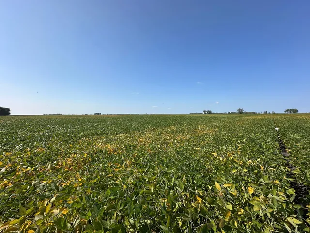 $884,000 | 8 St Brandrup Twp Mn 56522, Campbell, MN 56522