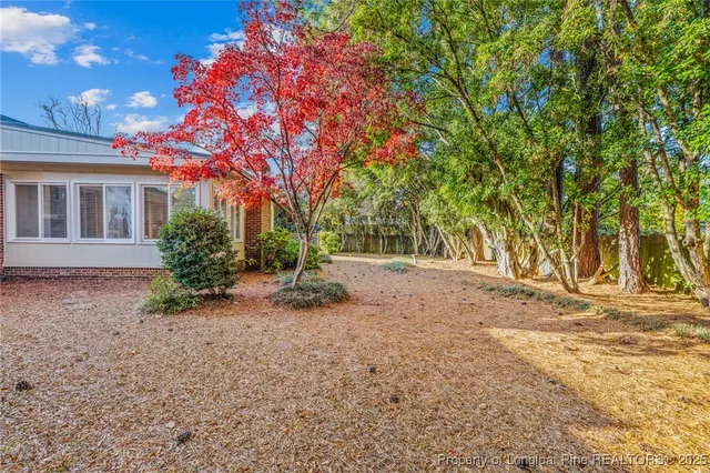 a view of a yard with plants and trees