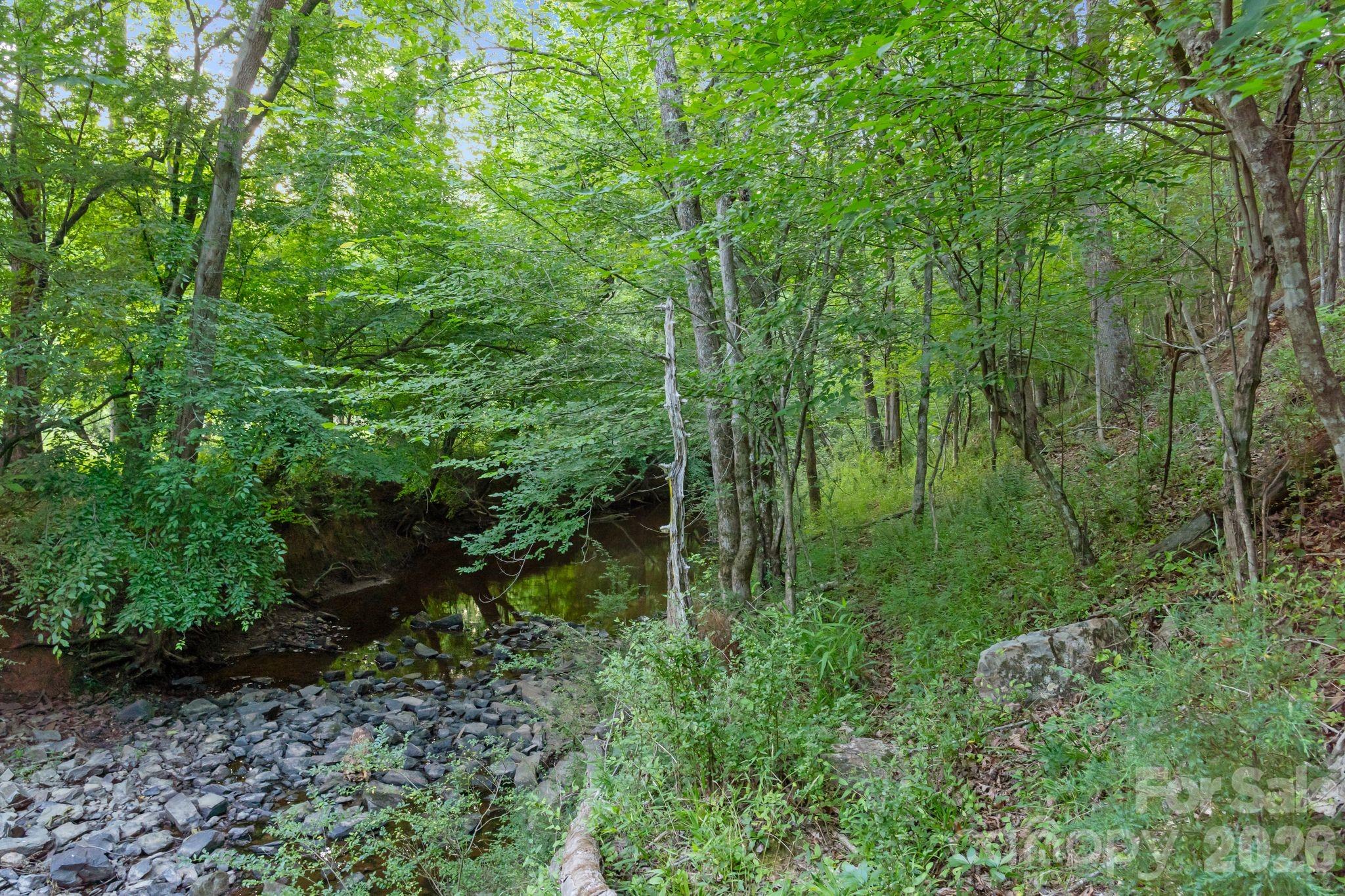 0 Lucy Short Cut Road, Unit 2 Marshville, NC 28103 - Photo 24 of 38 a view of a lush green forest
