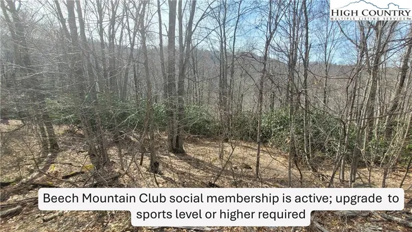 a black and white photo of a park